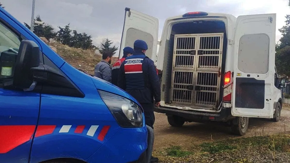 Kırıkkale’de köpek dövüşü operasyonu: 2 kişi kıskıvrak yakalandı!