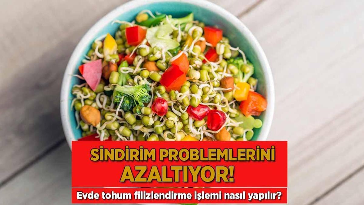 Sindirim problemlerini azaltıyor! Evde tohum filizlendirme işlemi nasıl yapılır?